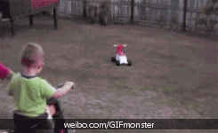 4601.gif