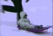 42630.gif