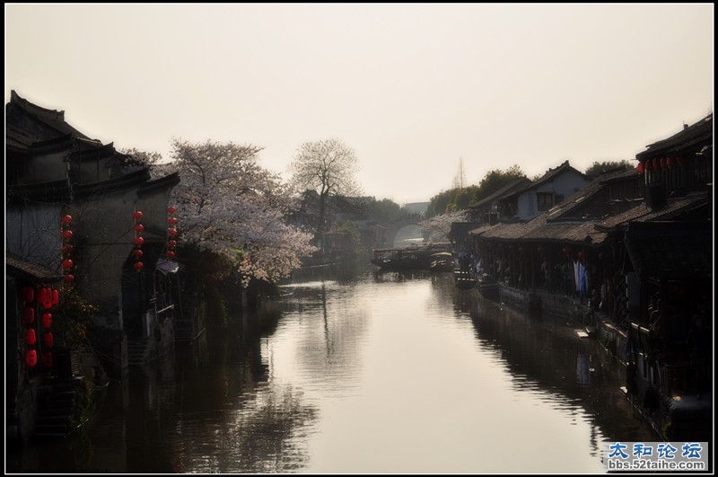 DSC_0475_副本.jpg