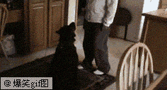 320.gif