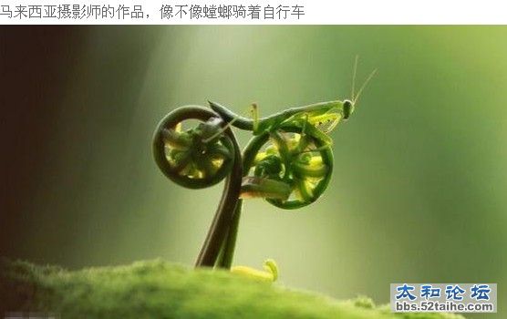 图9.jpg