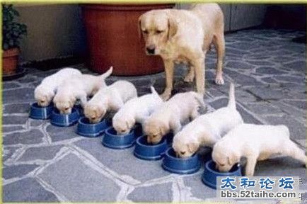 组织纪律要从娃娃抓起！.jpg