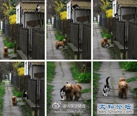 每天同一时间，她都会在同一地方等他。他来了，他们就一起去附近散步。.jpg