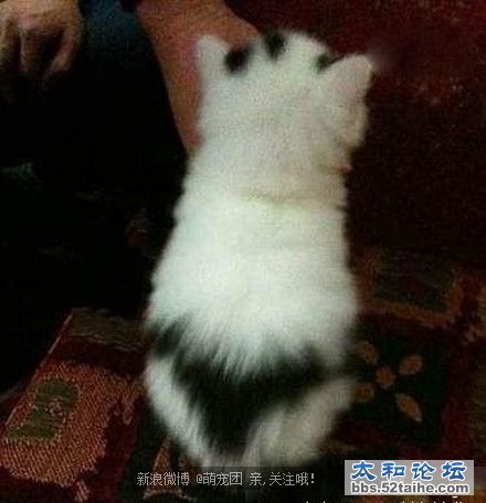 内裤外穿.jpg