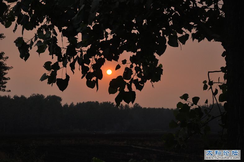 DSC_0085.JPG