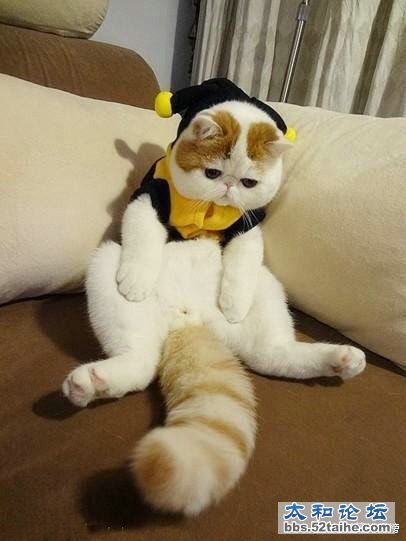 现在的我……上不去的是工资……下不去的是体重~~~.jpg