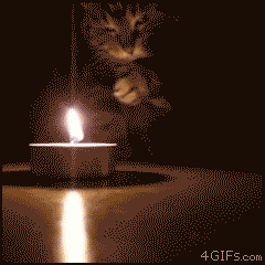 好烫……好烫…….gif