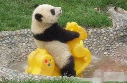 眼看快奔三了，可是我还没二够 ···.jpg
