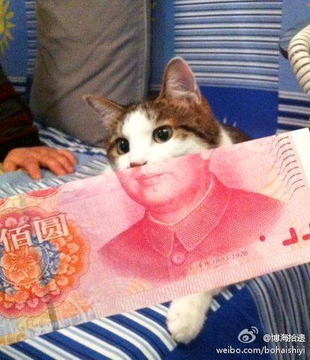 神一样的cos.jpg