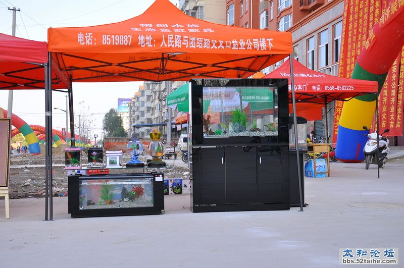 DSC_0826_调整大小.JPG