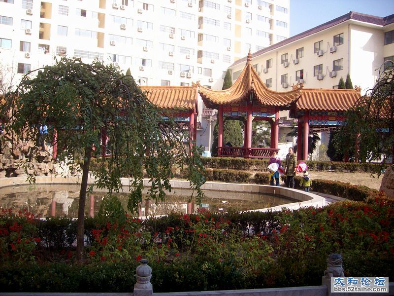 IMG04920.JPG