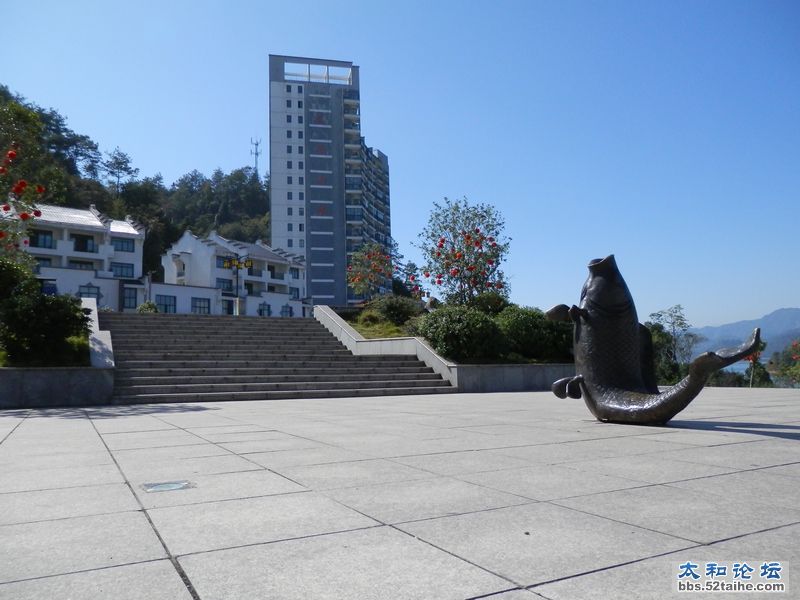 太平湖景致1.jpg