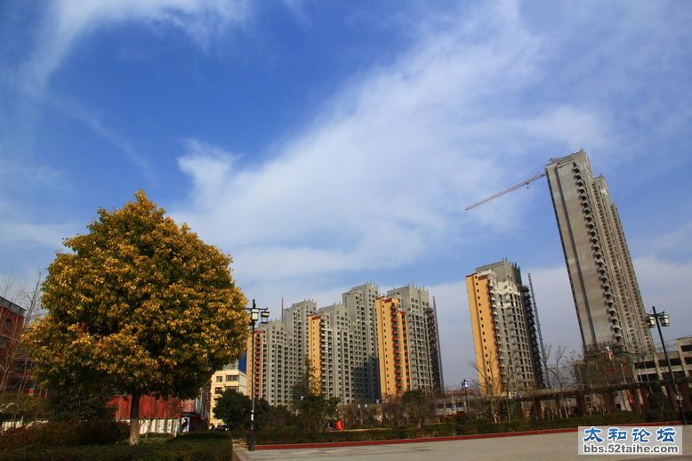 细阳新景观（2012.12.19拍摄）.JPG