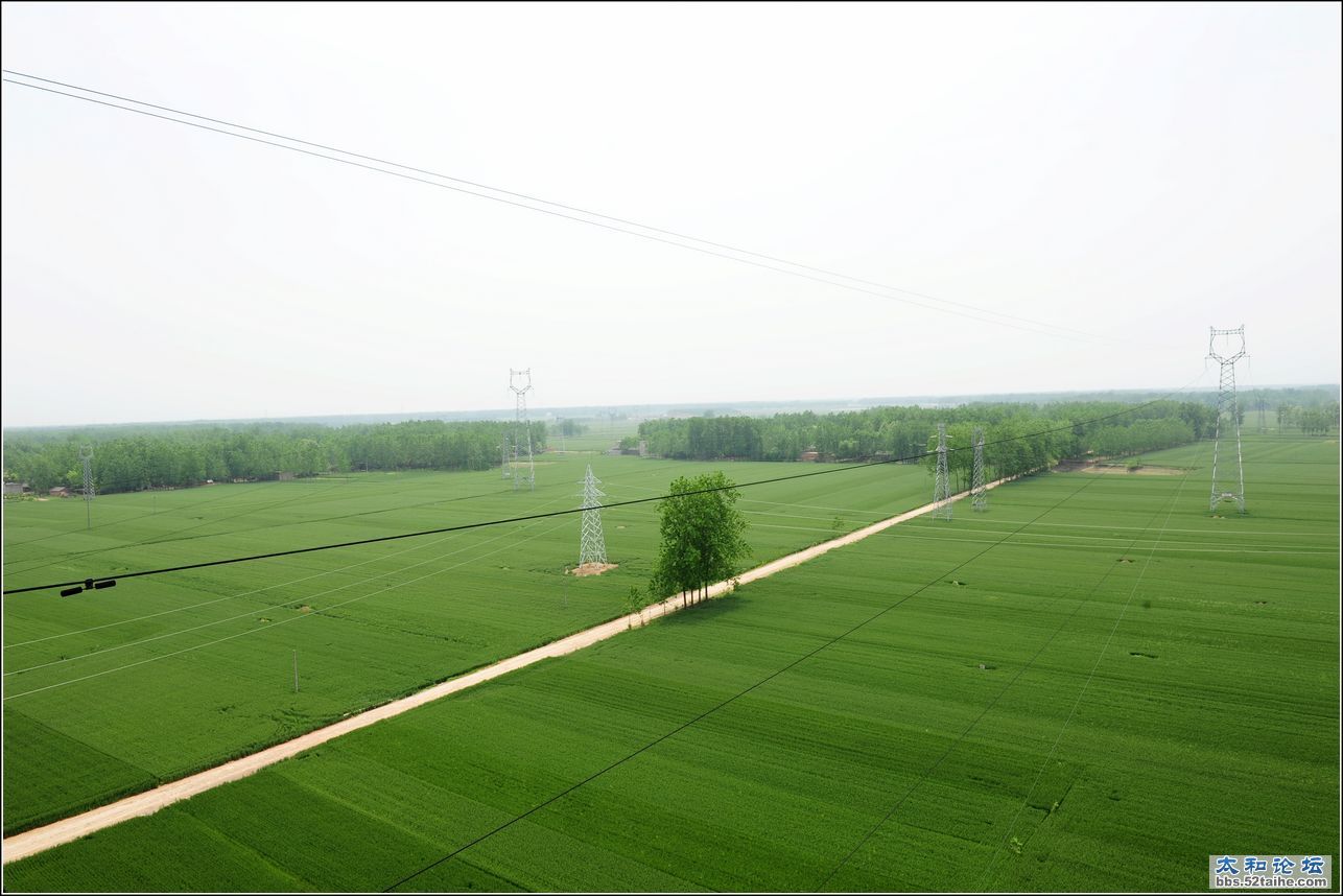 DSC_0807.jpg