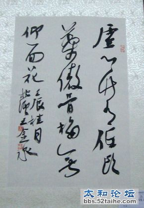 IMG04969.JPG