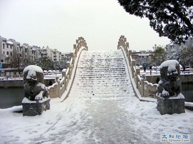 太和公园一角.jpg