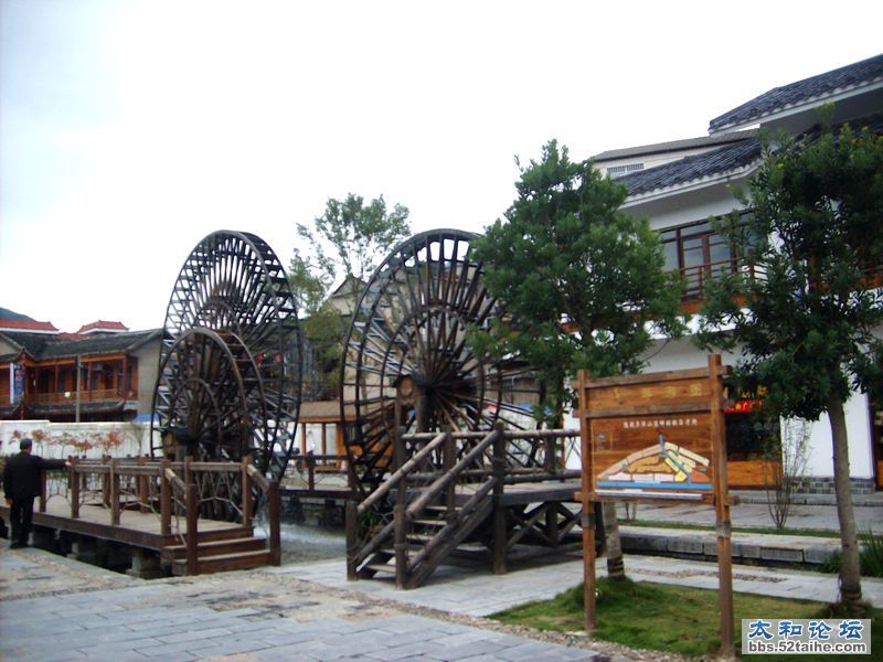 IMG04462.JPG