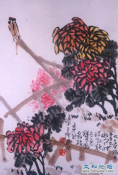 菊花.jpg