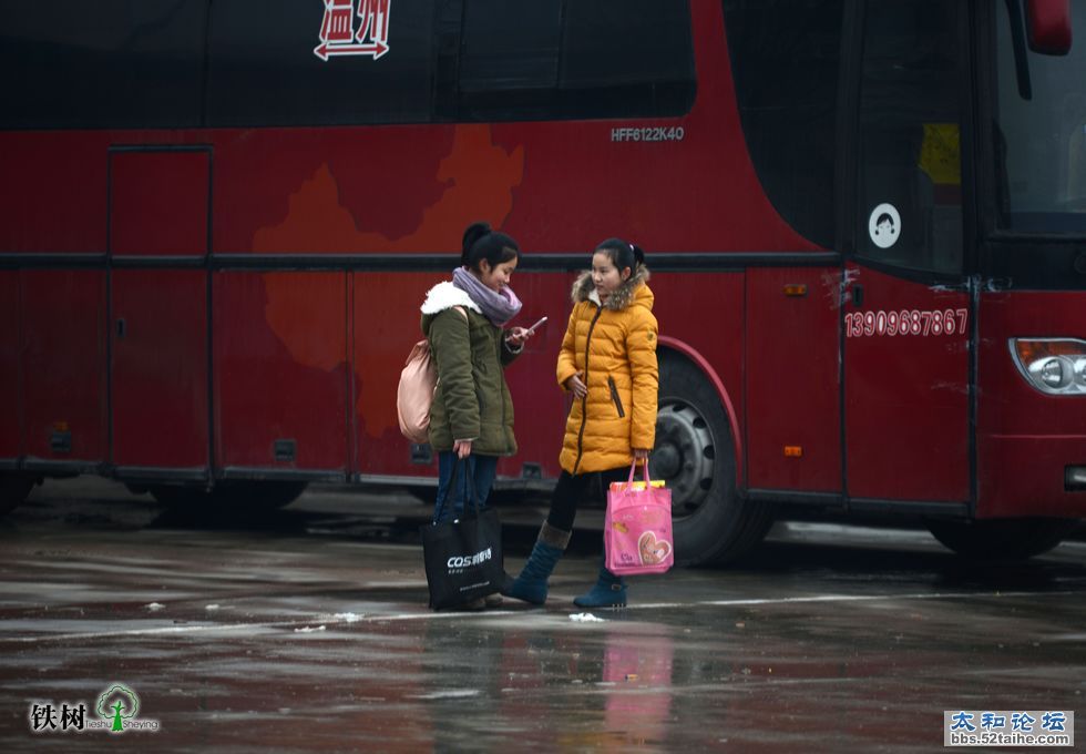 DSC_6529.jpg