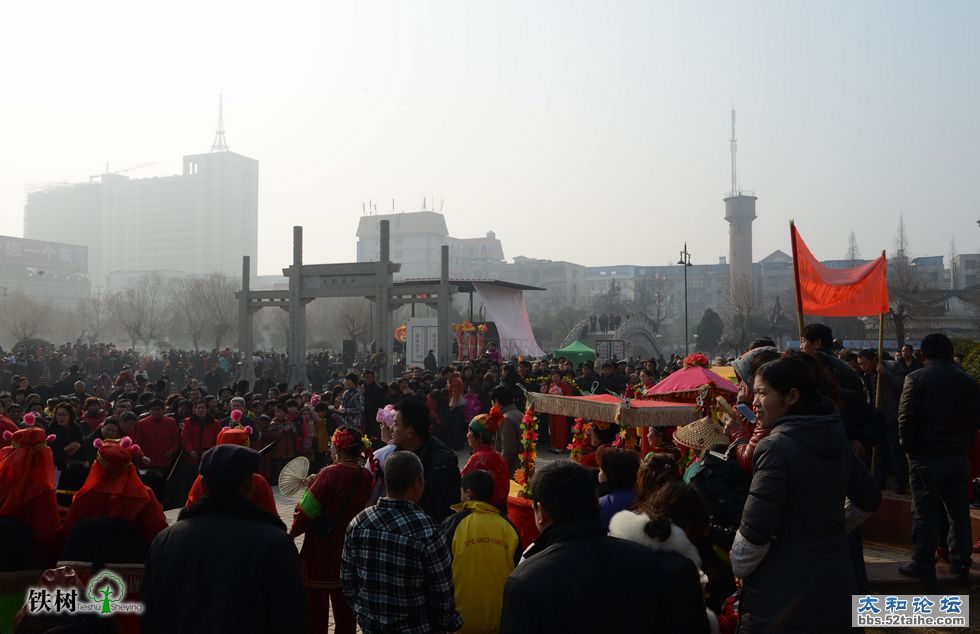 DSC_8317.jpg
