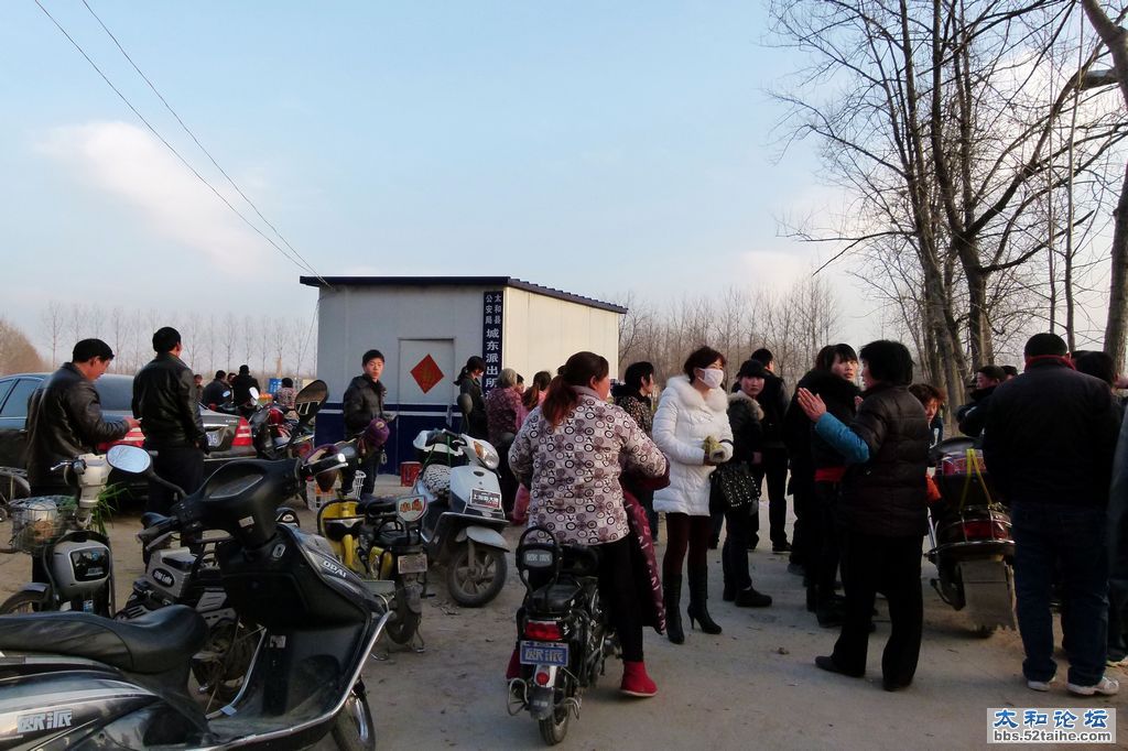 P1500317.jpg