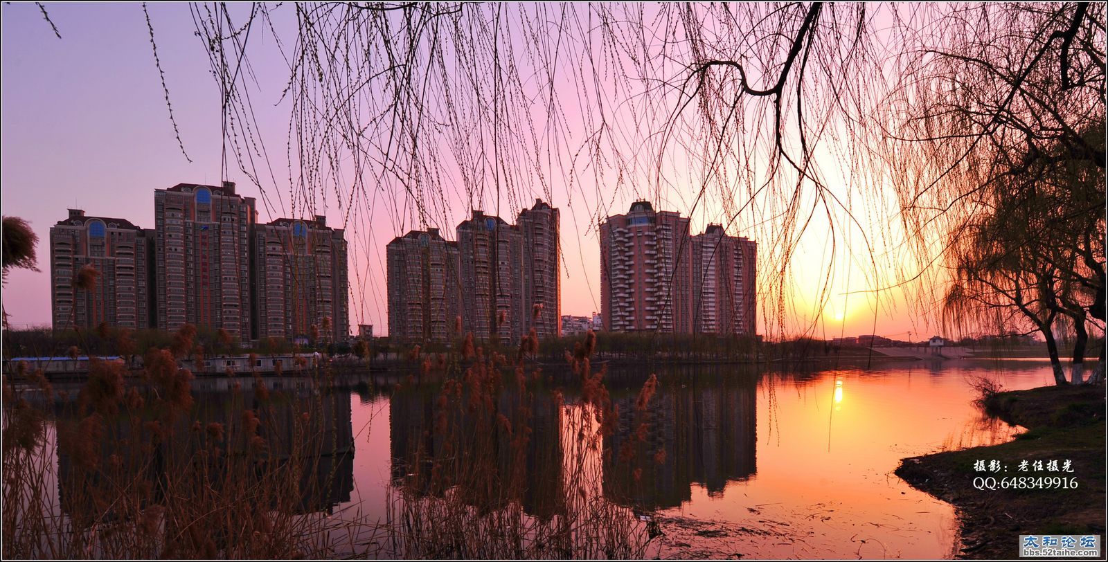 DSC_343.jpg