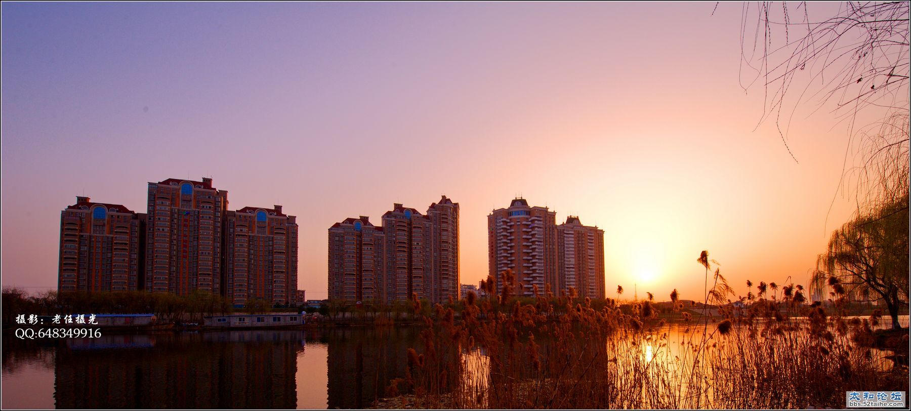 DSC_3449.jpg
