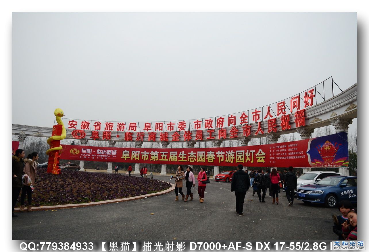 DSC_1856a.JPG