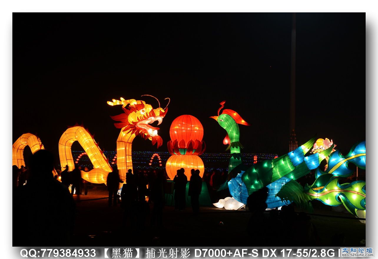 DSC_2017as.jpg
