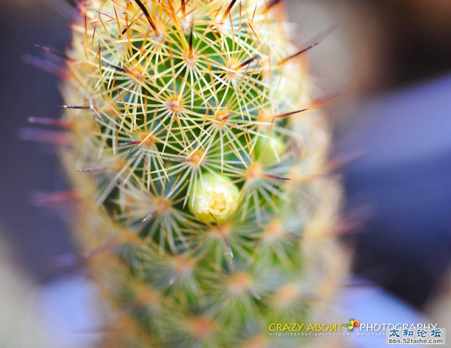 GXF_5792.jpg
