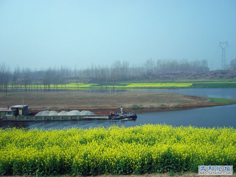 SDC12184_副本.jpg