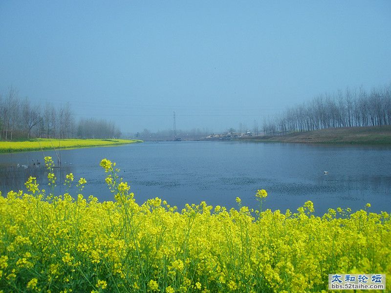 SDC12203_副本.jpg
