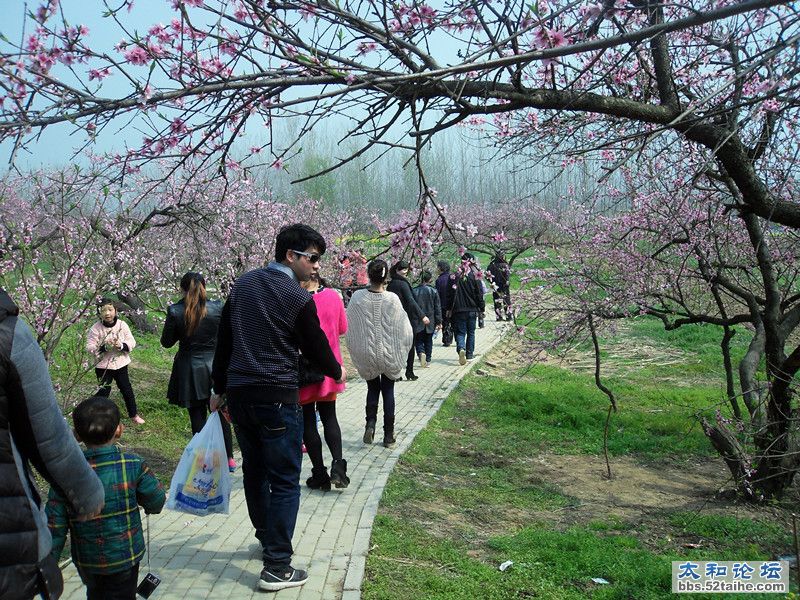 SDC12214_副本.jpg