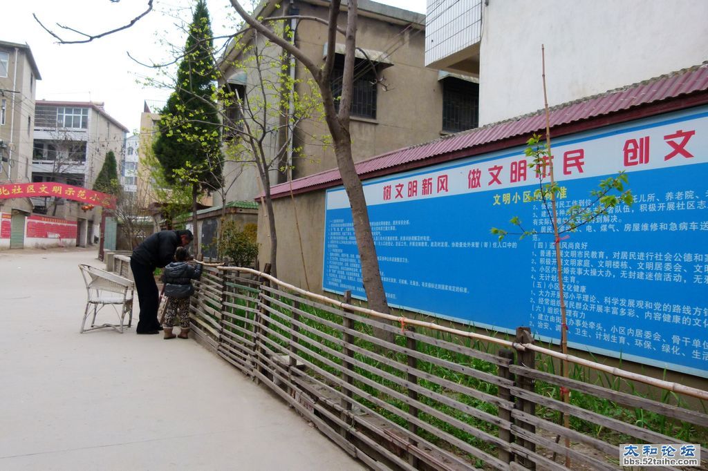 P1520154.jpg