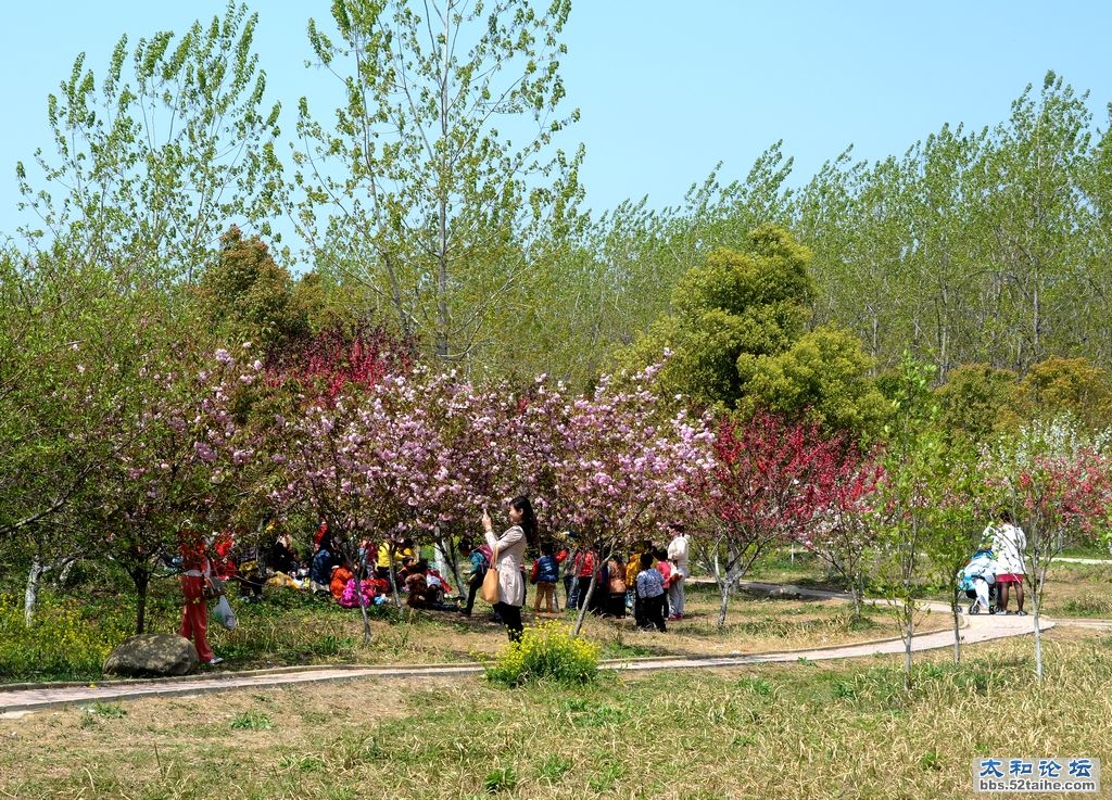 DSC_3000 00.jpg
