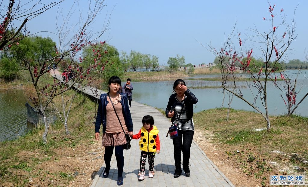 DSC_3008 00.jpg