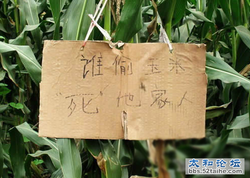 QQ截图20130518160551.png