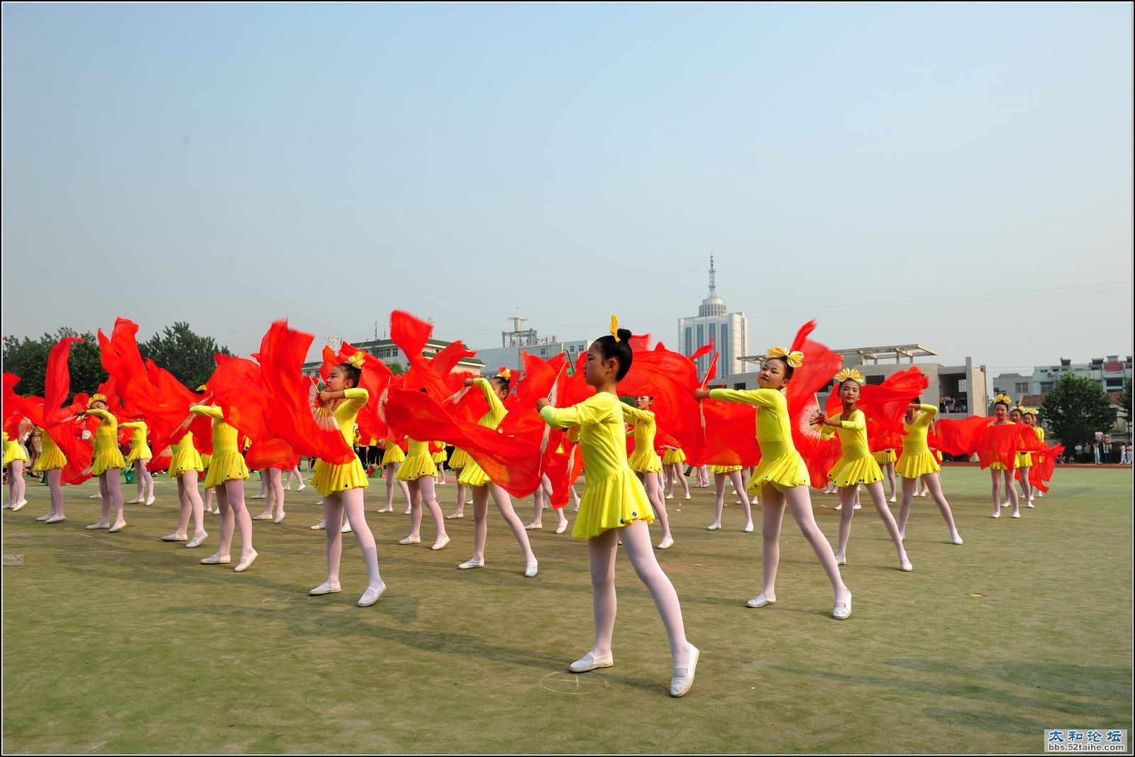 DSC_6965.jpg