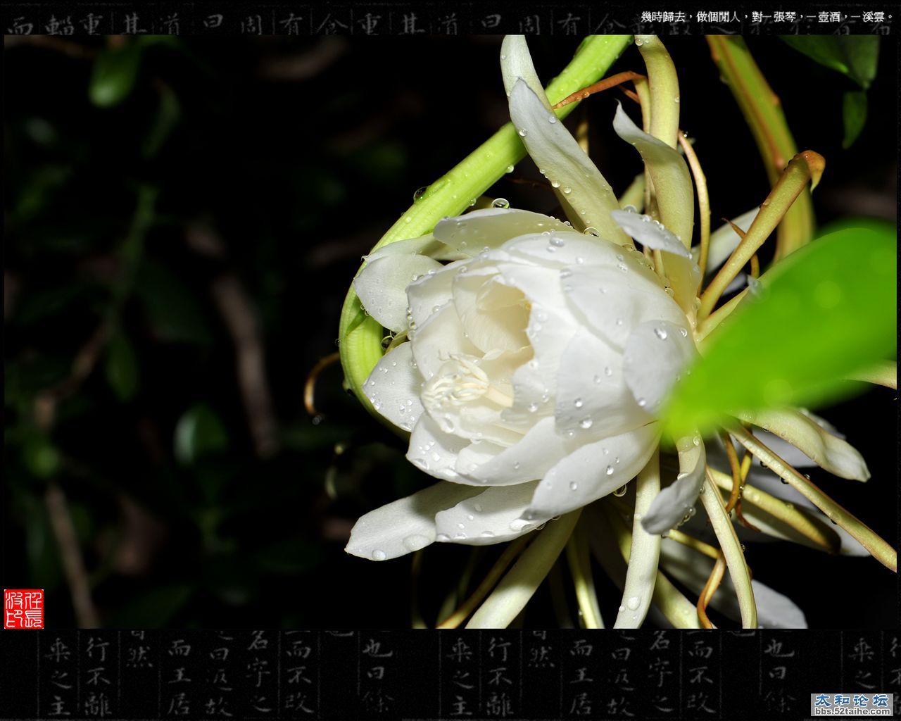 DSC_8402.jpg