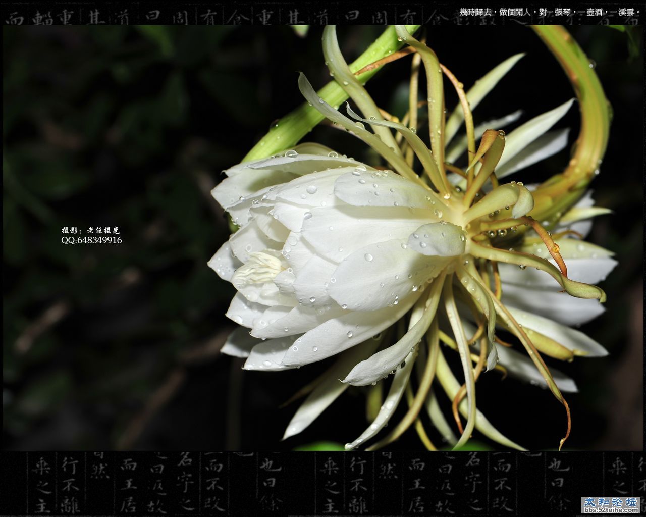 DSC_8404.jpg
