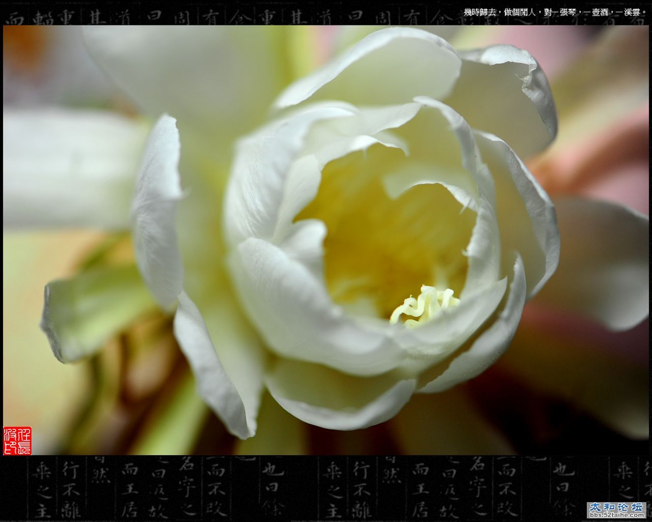 DSC_8422.jpg
