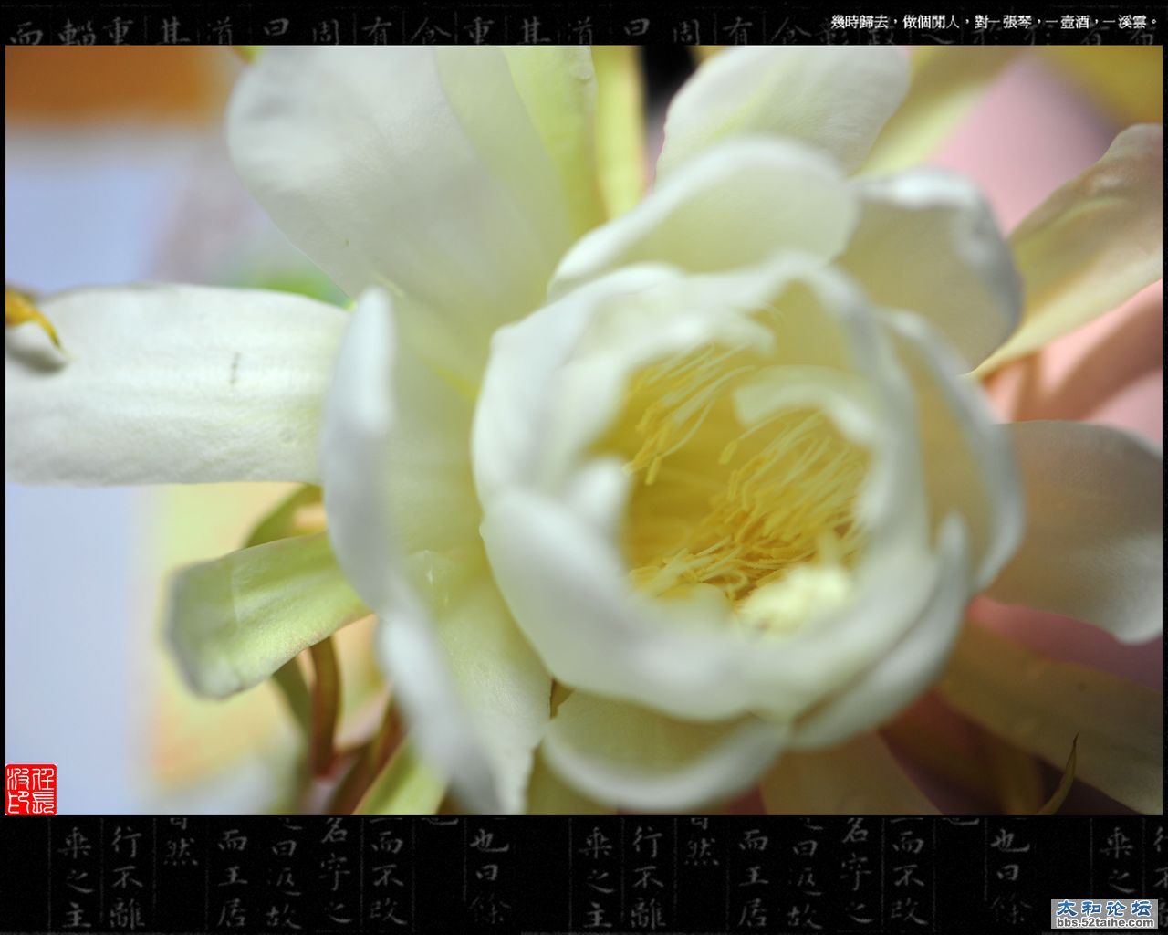 DSC_8423.jpg