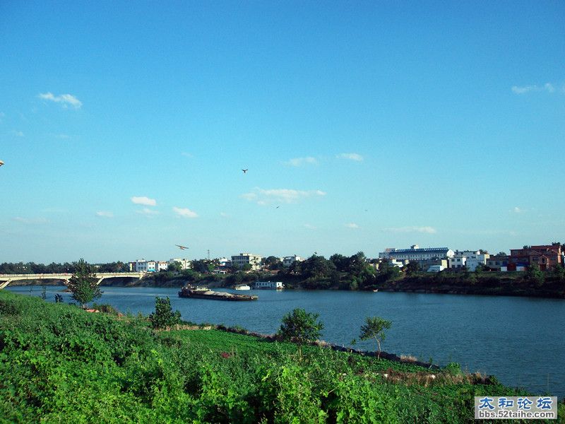 SDC13141_副本.jpg