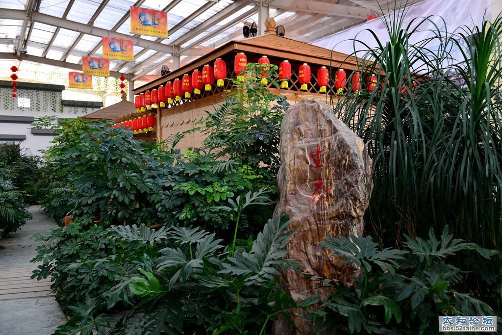 DSC_4147_副本.jpg