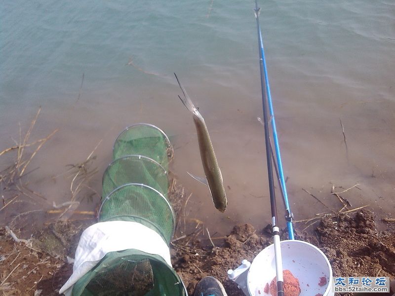IMG_20140327_092951_调整大小.jpg