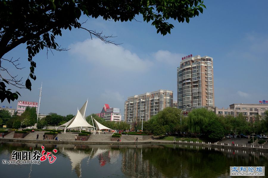 细阳券龙--春到文峰14.jpg