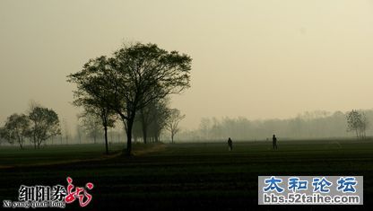 9f3c213fb80e7beca071d09a2f2eb9389a506be4.jpg