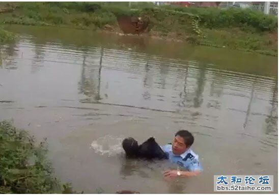 QQ截图20150713115858.jpg