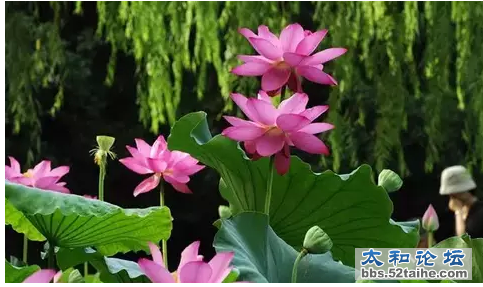 QQ截图20150715104022.png
