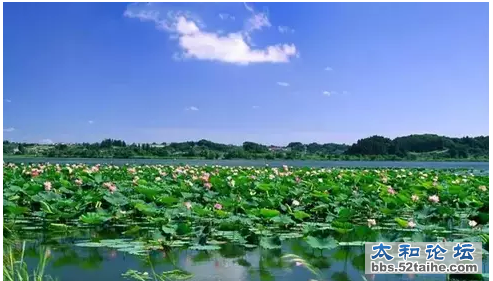 QQ截图20150715104045.png